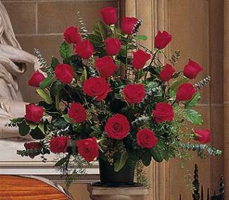 Spray of Roses