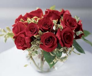 Bowl of Roses