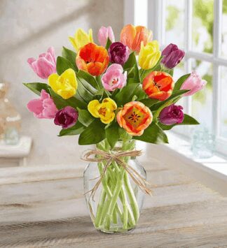 20 Tulips