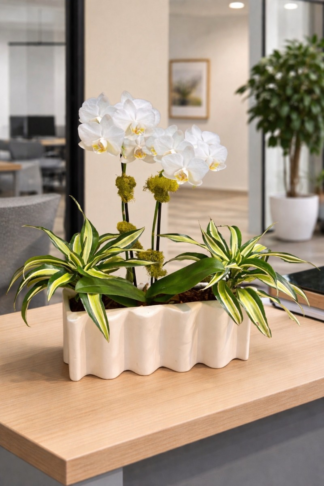 Sleek Ripple Ceramic Orchid Planter with Green Accent