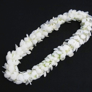 Lei - All White Orchid