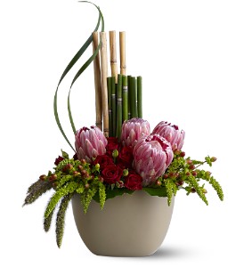 Protea Zen