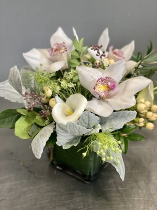 Twinkle of Elegance