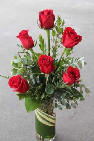 6 Premium Roses