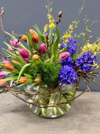 Spring Meadow Harmony