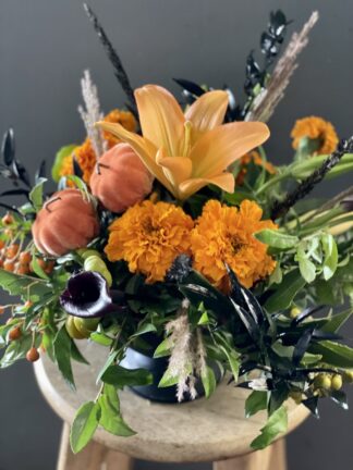 Haunted Harvest Blooms