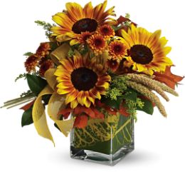 Funflowers