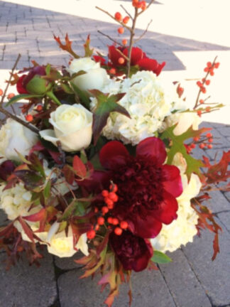 Peonies in Winter