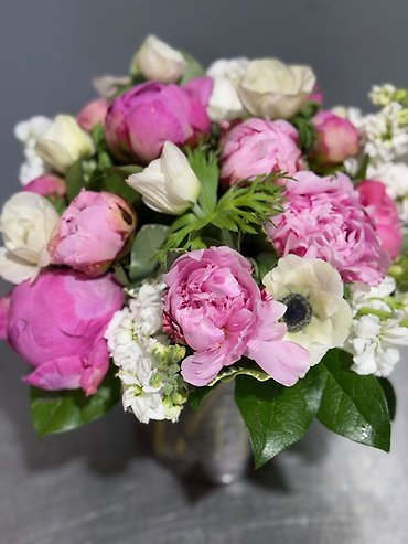 Pink Peony Dream