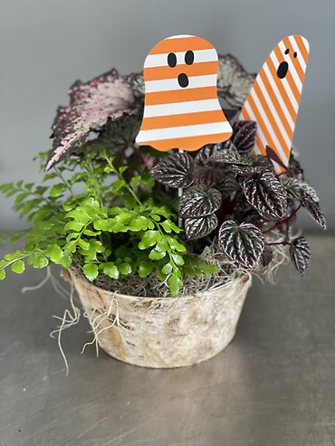 Boo Planter