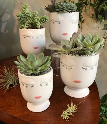 Celfie Succulent Planter