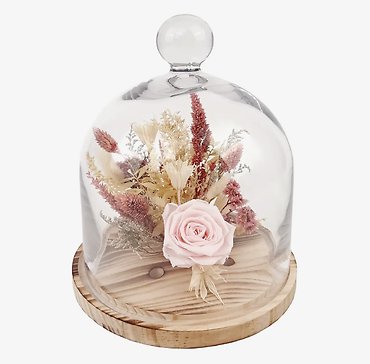 10\" Preserved Rose Botanical Cloche