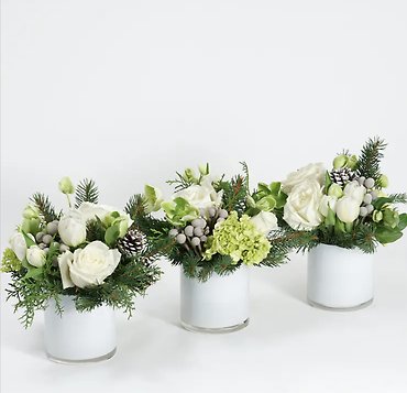 Winter White Trio