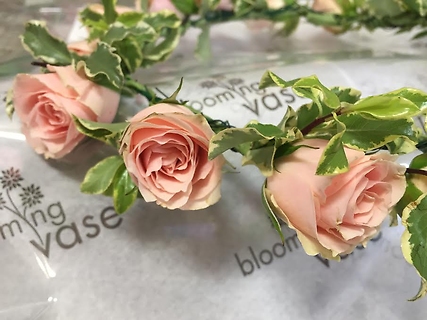 Flower Crown - Baby Roses