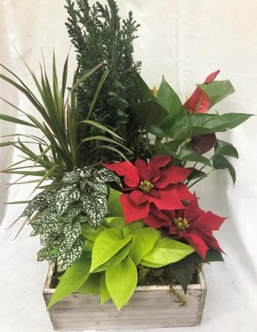 Christmas Garden Planter