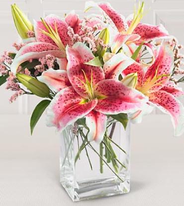 Stargazer Lily Bouquet