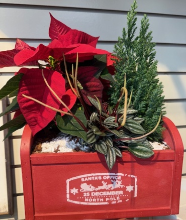 Santa\'s Planter