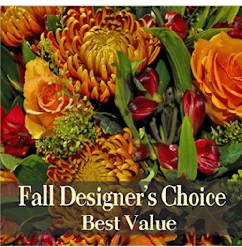 Fall Design\'s Choice