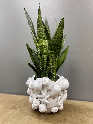 Seashell Planter