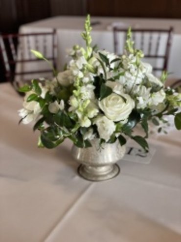 Ivory Bloom