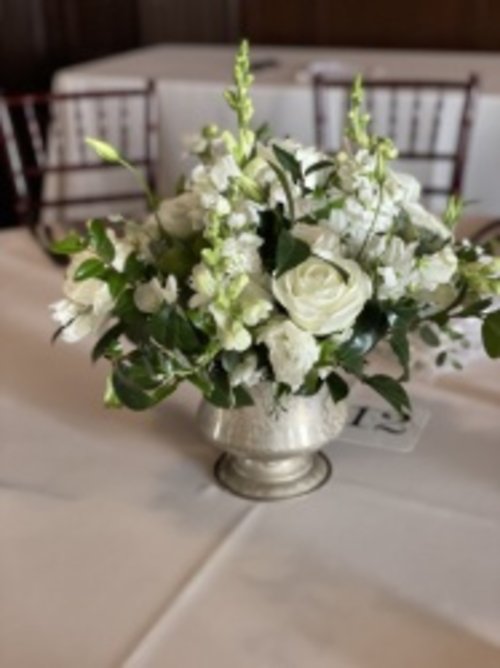 Ivory Bloom