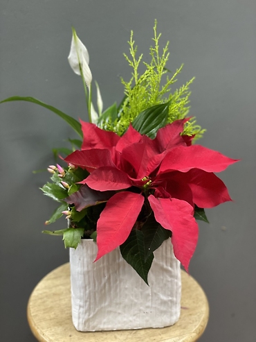 Christmas ceramic planter