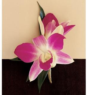 Boutonniere - Dendrobium Orchid