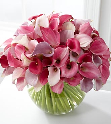 Calla Lily Love