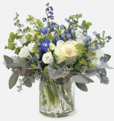 Wild Blue