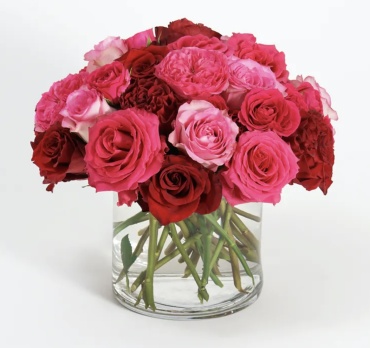 Passion Roses