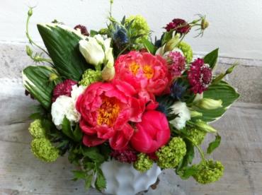 Eclectic Peonies