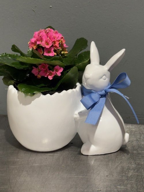 Blushing Bunny Bloom Planter