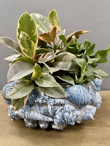 Coastal Planter