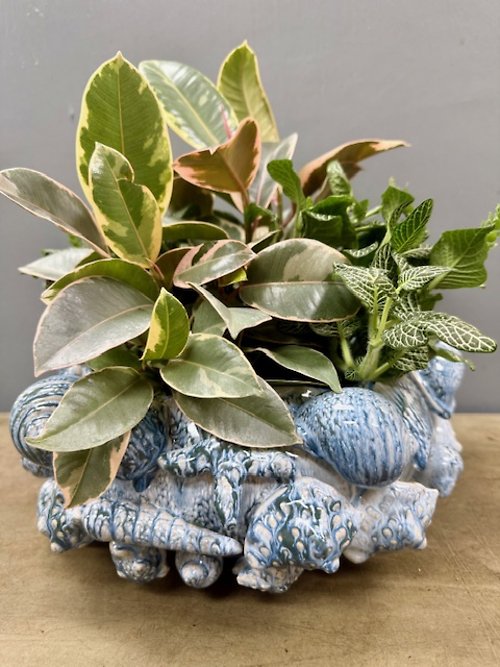 Coastal Planter
