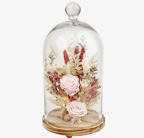 15\" Pink Preserved Rose Botanical Cloche