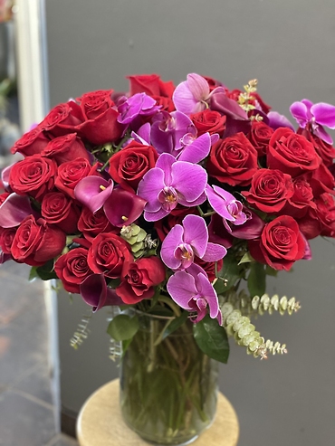 Abundance of roses