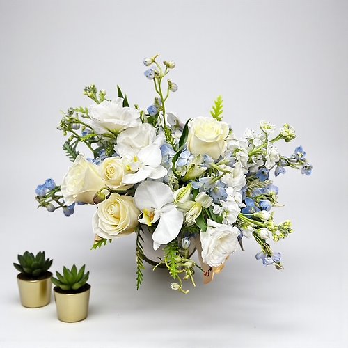 Serene Blue & White Garden