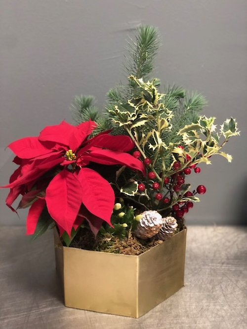 Tabletop Christmas planter