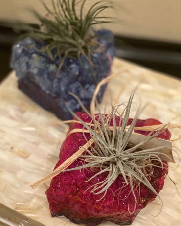 Geode Airplant