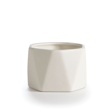 Candle -Dylan Gardenia