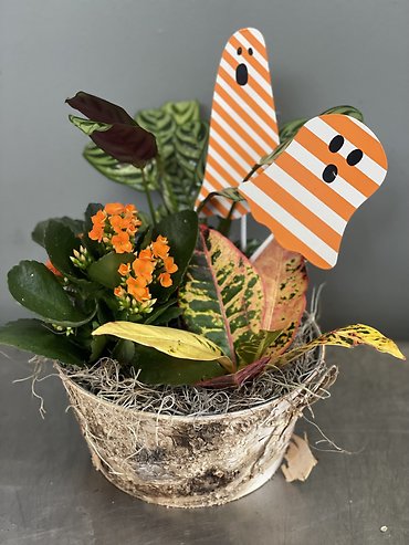 Boo Planter