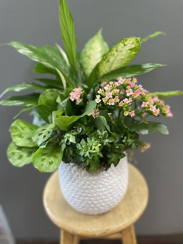 Tabletop garden