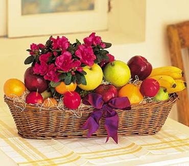 Fruit & Plant Basket