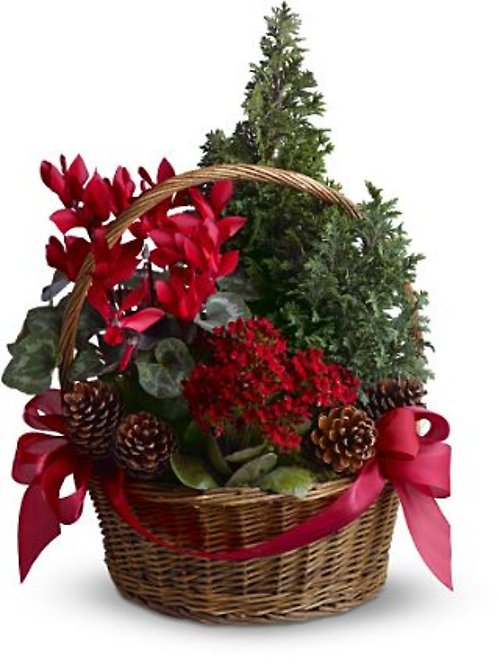 Christmas Planter