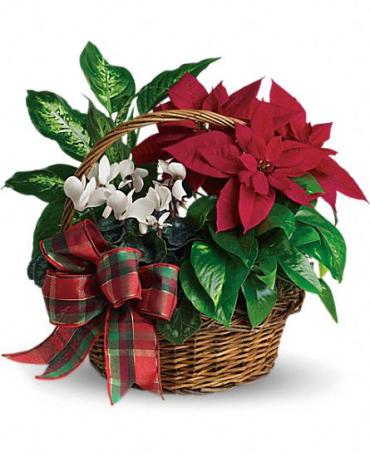 Holiday Planter Basket