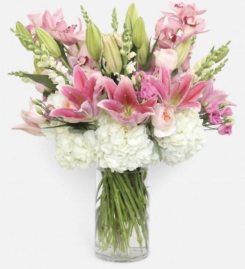 Darling Bloom